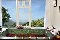 Spice Tree Hotel Munnar India