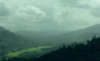 Spice Tree Hotel Munnar